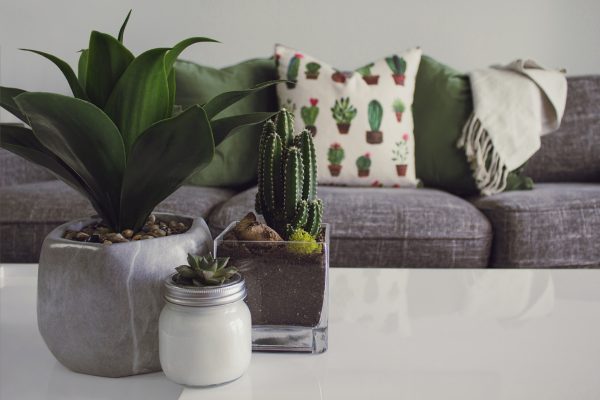 Cane Woven Armchair